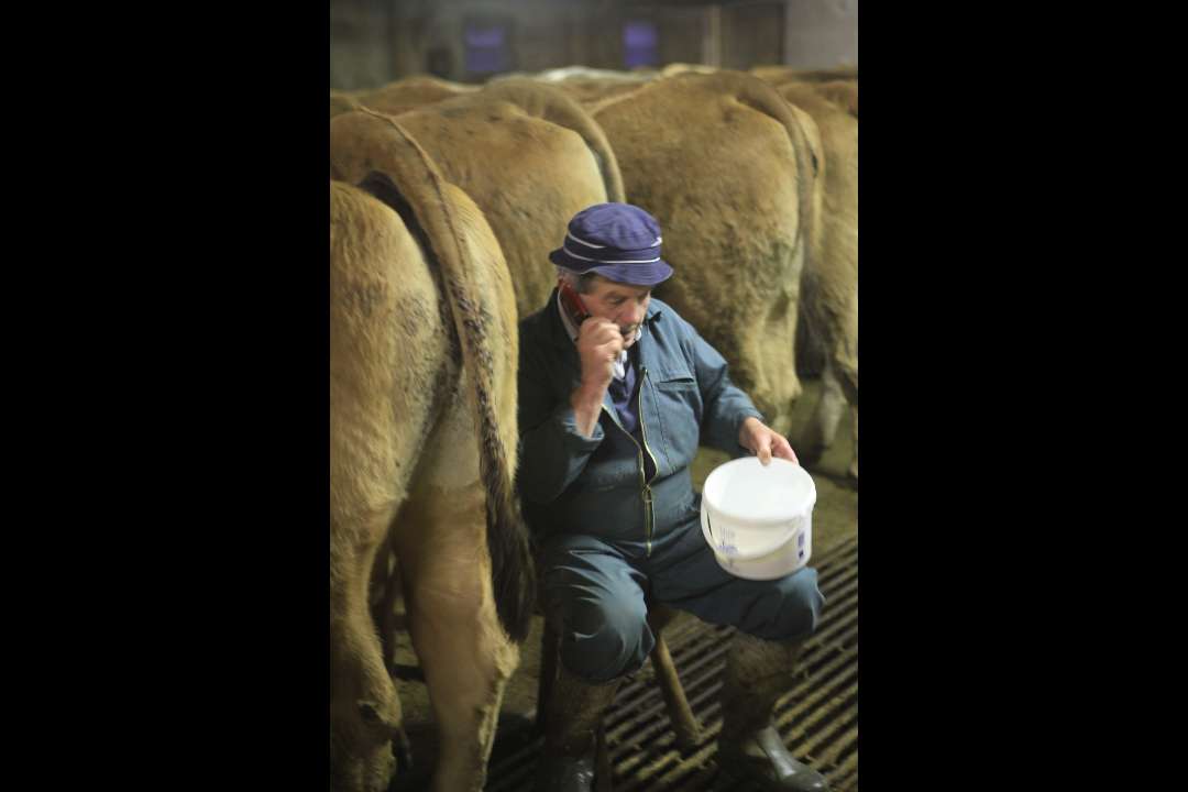 Aubrac Aubrac
